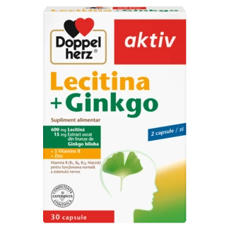 Illustration of the product packaging Doppelherz aktiv Lecitină + Ginkgo front view